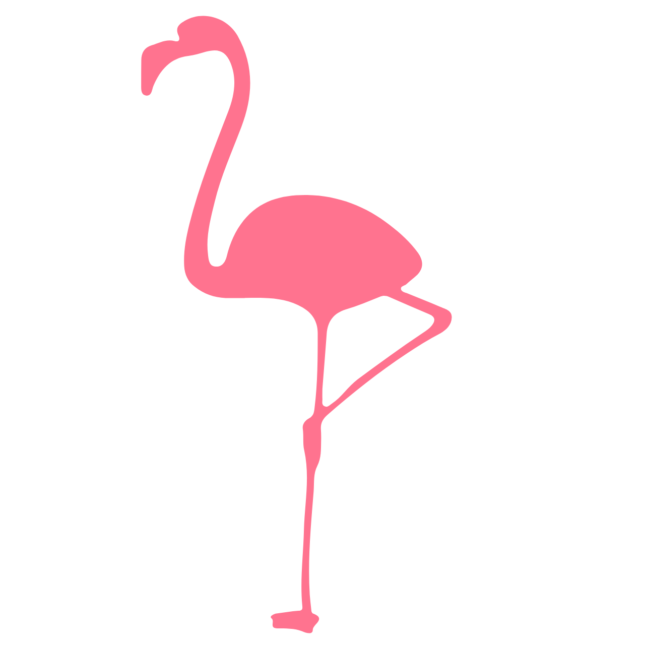 Normal Bird